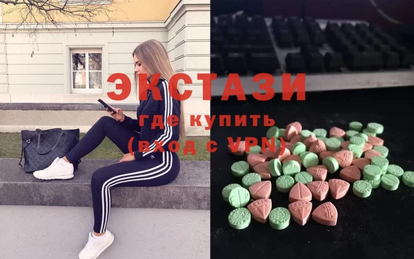 мет Алексин