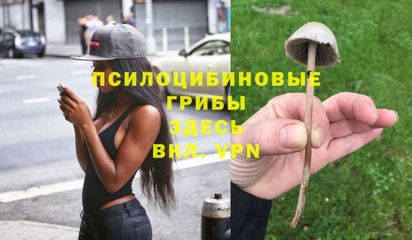 мескалин Аркадак