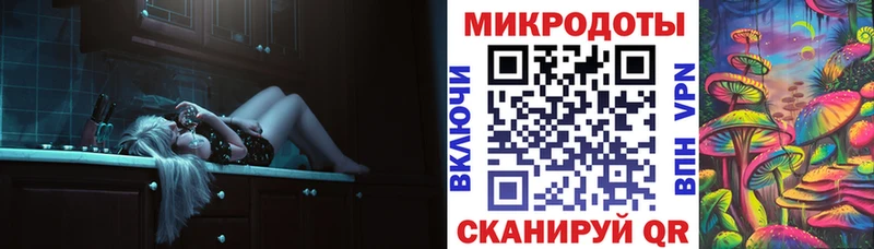 Псилоцибиновые грибы Cubensis  Тайшет 